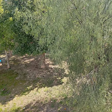 Eat Well Sleep Well Guest house *