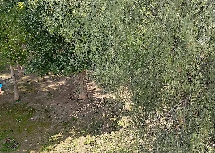 Eat Well Sleep Well Gæstehus *